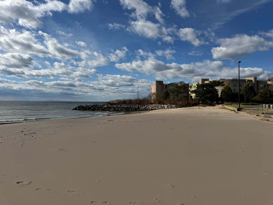 Photo of the beach with the water on the left and some nearby buildings in the distance.